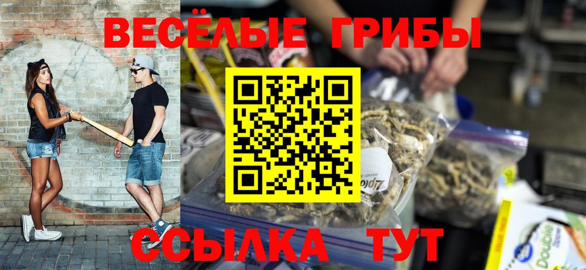 Галлюциногенные грибы MAGIC MUSHROOMS  дарнет шоп  Магадан  Вход с VPN  Галлюциногенные грибы мицелий 